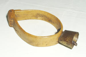 Campanaccio