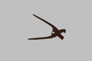 Pinza (1830)