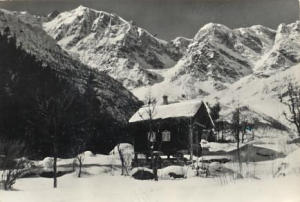 Riproduzione (1920)