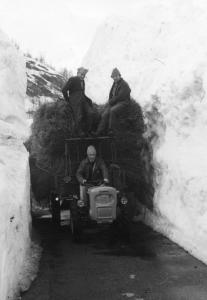 Trasporto del fieno col trattore in località Canza durante l'inverno (1971)