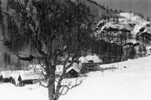 Canza sotto la neve (1951)