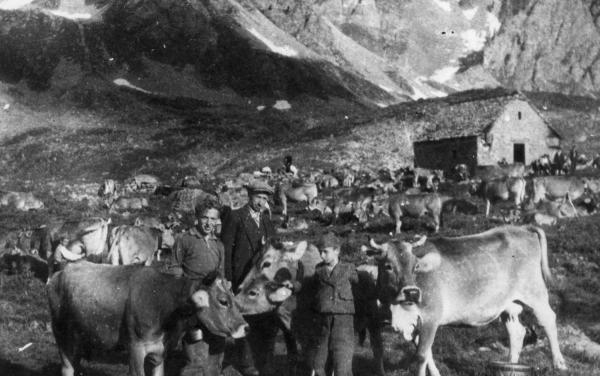 Pastori con le mucche all'alpe Kastel