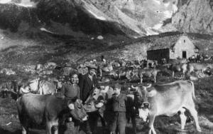 Pastori con le mucche all'alpe Kastel
