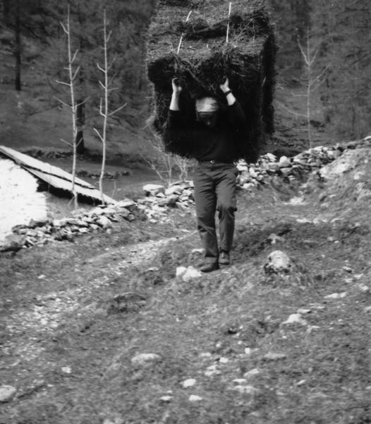 Uomo che porta un mazzo di fieno