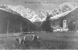 Il Dorf (1950)
