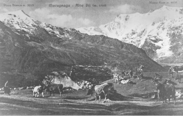 Alpe Bill