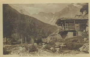 Frazione Testa (1900)