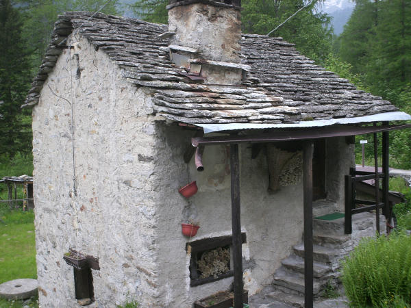 Riproduzione
